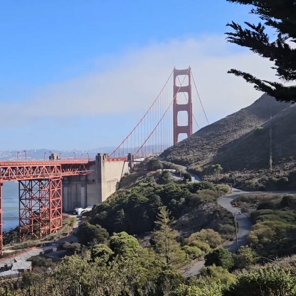 EVERYTHING MUST GO - Picture 4 of 16